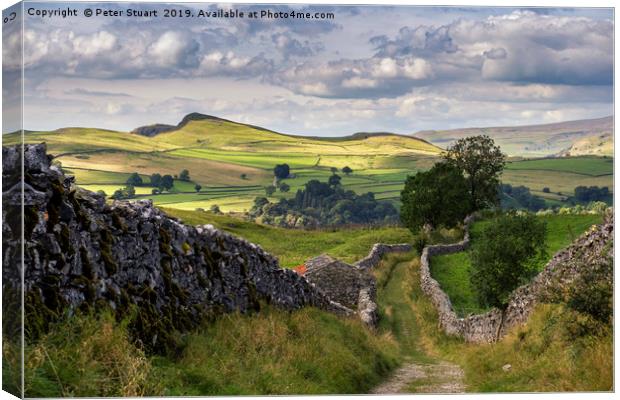 Old Lanes above stainforth, Yorkshire Dales Canvas Print by Peter Stuart