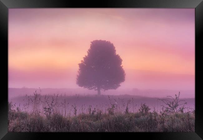 Derbyshire Dales Dawn Framed Print by John Finney