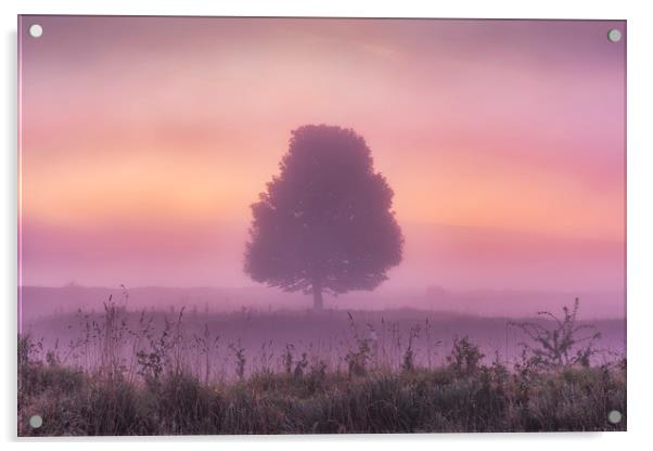 Derbyshire Dales Dawn Acrylic by John Finney