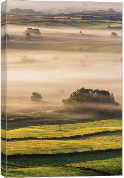Foolow Morning Mist and Light Canvas Print by John Finney