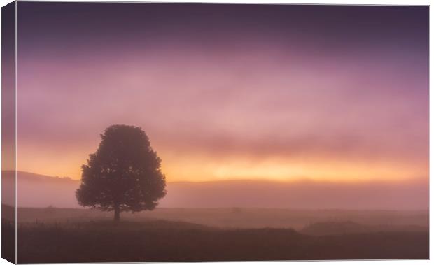 Derbyshire Dales Moody Dawn Canvas Print by John Finney