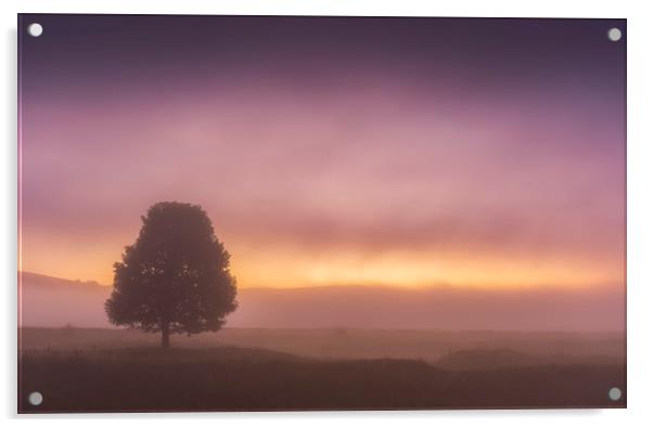 Derbyshire Dales Moody Dawn Acrylic by John Finney