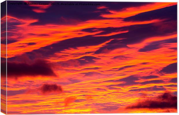 velvet sunset. Canvas Print by Ashley Cooper