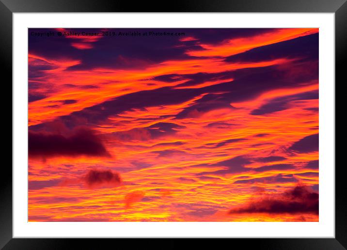 velvet sunset. Framed Mounted Print by Ashley Cooper