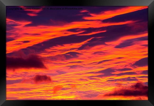 velvet sunset. Framed Print by Ashley Cooper