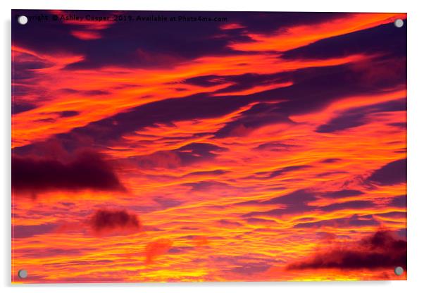 velvet sunset. Acrylic by Ashley Cooper