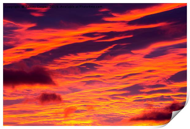 velvet sunset. Print by Ashley Cooper