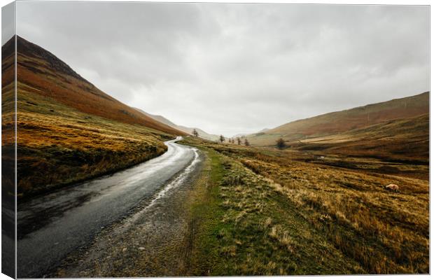 Country Road in the Lake District Canvas Print by John Ly