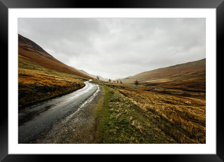 Country Road in the Lake District Framed Mounted Print by John Ly