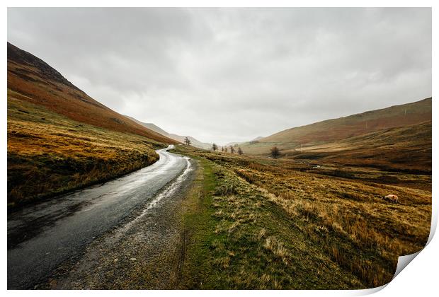 Country Road in the Lake District Print by John Ly