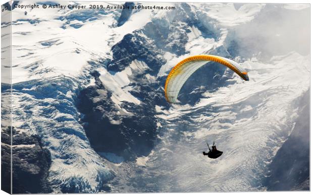 Paraponting Canvas Print by Ashley Cooper