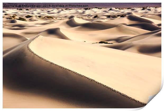Death Valley Print by Ashley Cooper
