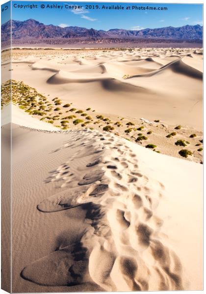 Footsteps. Canvas Print by Ashley Cooper