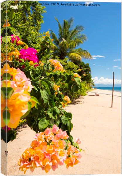 Lake Malawi Canvas Print by Ashley Cooper