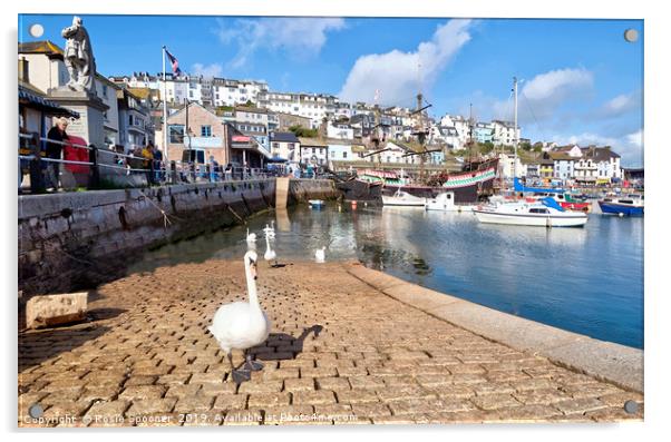 Swans on the slipway at Brixham Harbour Acrylic by Rosie Spooner