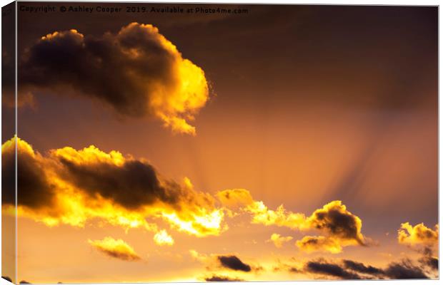 Evening glory. Canvas Print by Ashley Cooper
