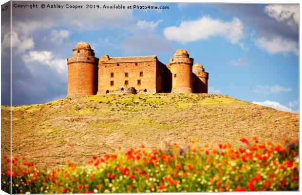 Spanish castle. Canvas Print by Ashley Cooper