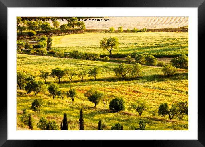Spanish countryside. Framed Mounted Print by Ashley Cooper