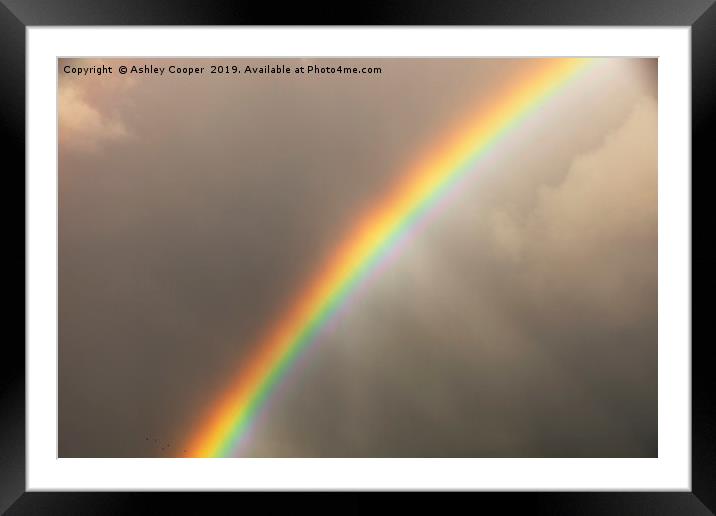 Rainbow Framed Mounted Print by Ashley Cooper