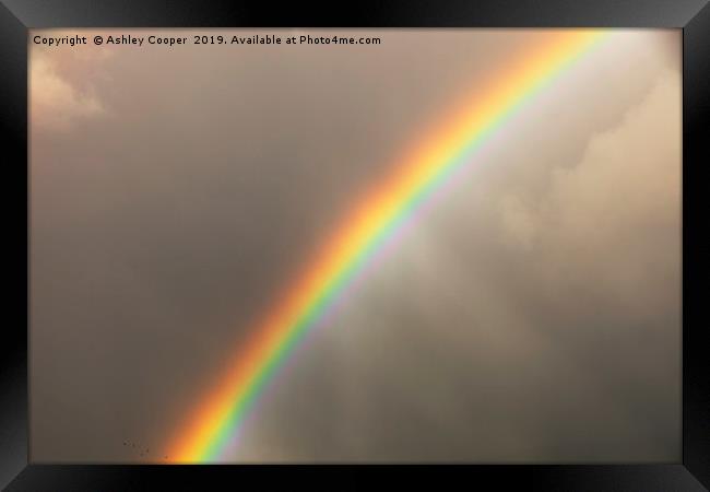 Rainbow Framed Print by Ashley Cooper