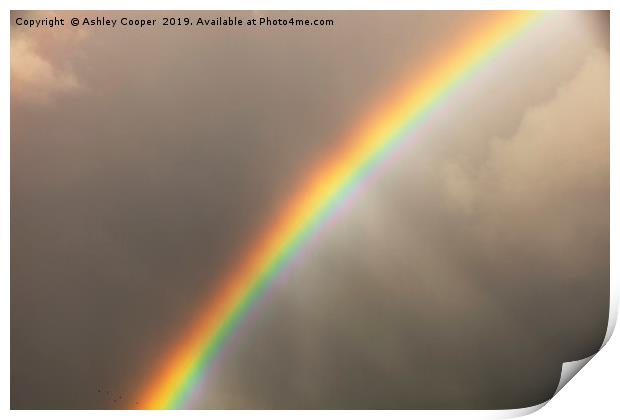 Rainbow Print by Ashley Cooper