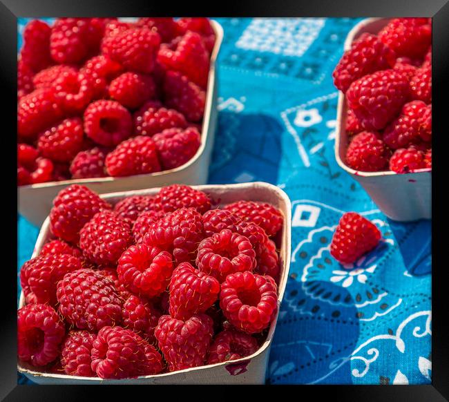 Fresh Red Raspberries Framed Print by Darryl Brooks