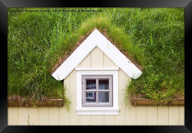Green roof. Framed Print by Ashley Cooper