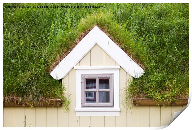 Green roof. Print by Ashley Cooper