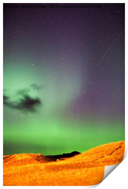 Aurora Print by Ashley Cooper