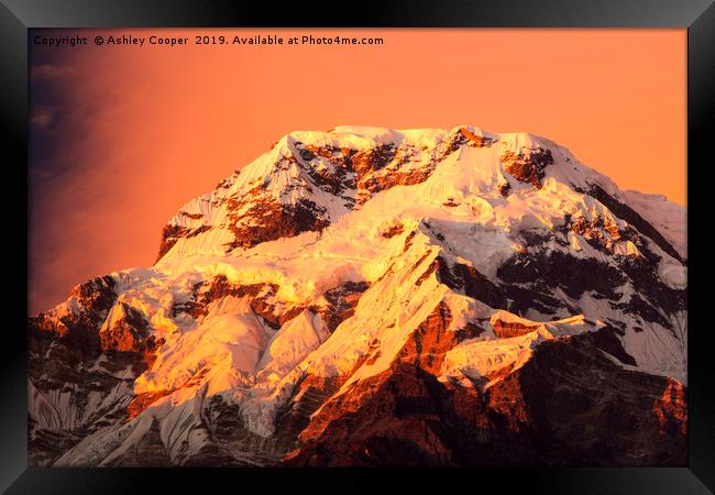 Annapurna afterglow. Framed Print by Ashley Cooper
