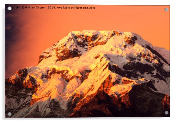 Annapurna afterglow. Acrylic by Ashley Cooper