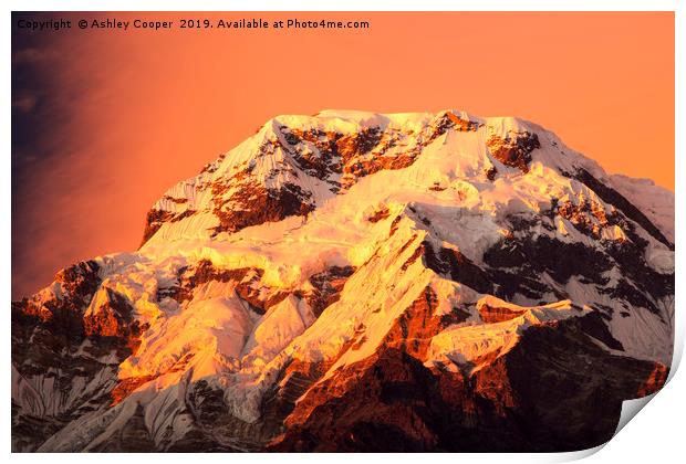 Annapurna afterglow. Print by Ashley Cooper