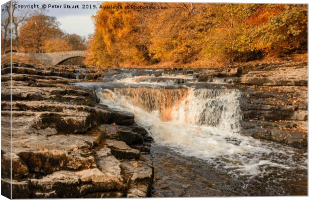 Stainforth Force, Yorkshire Dales Canvas Print by Peter Stuart