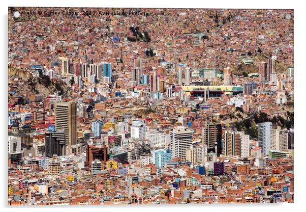 La Paz. Acrylic by Ashley Cooper