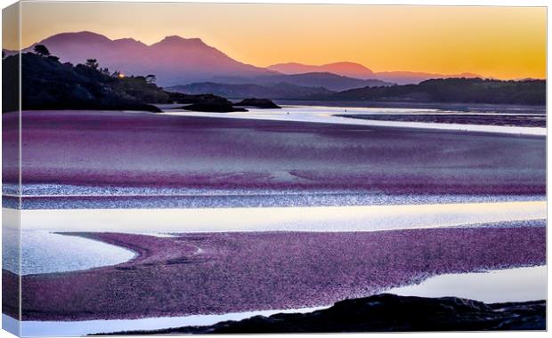 Sunrise over Black Rock Sands Canvas Print by Ceri Jones