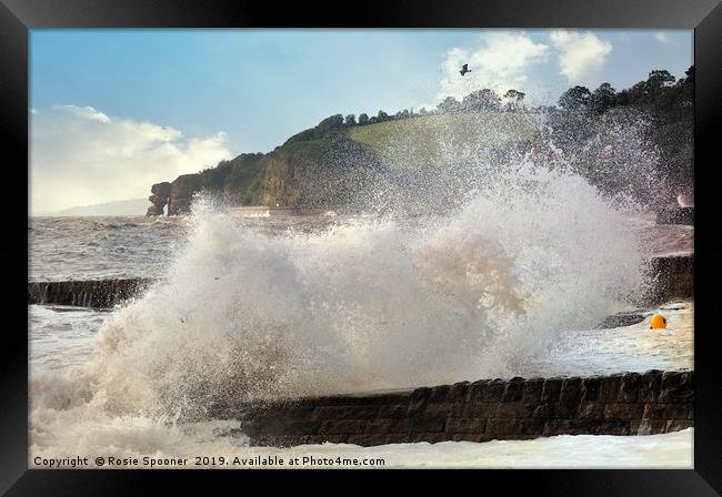 Stormy Seas at Dawlish in South Devon Framed Print by Rosie Spooner