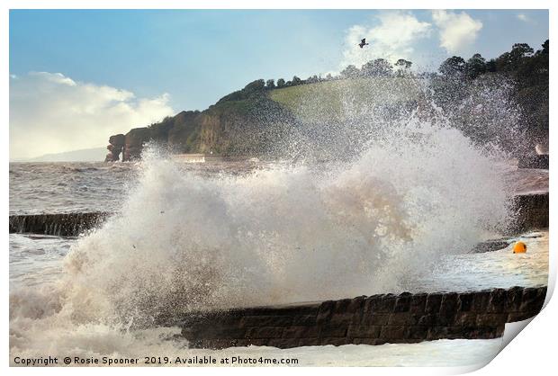 Stormy Seas at Dawlish in South Devon Print by Rosie Spooner
