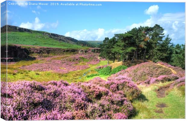 Ilkley Moor Yorkshire Canvas Print by Diana Mower