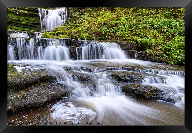 Scaleber Force  Framed Print by Brian Garner