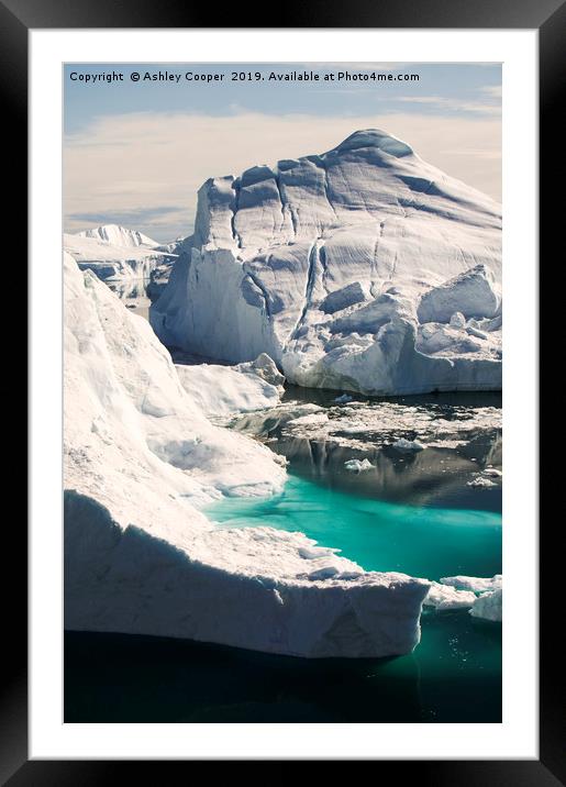 Towering bergs. Framed Mounted Print by Ashley Cooper