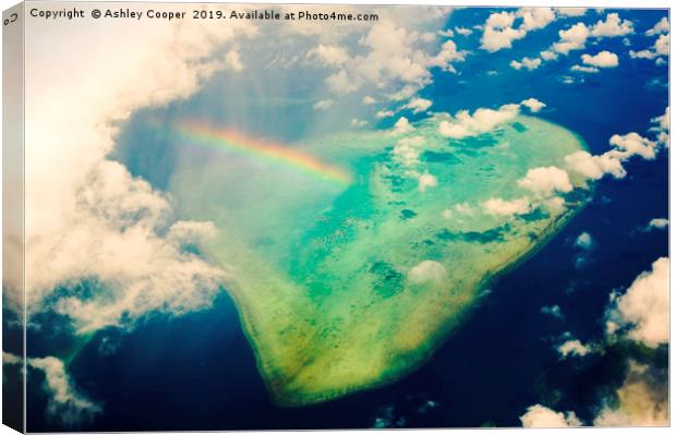 Reef rainbow. Canvas Print by Ashley Cooper