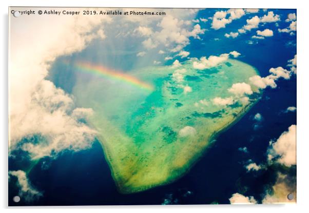 Reef rainbow. Acrylic by Ashley Cooper