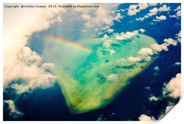 Reef rainbow. Print by Ashley Cooper