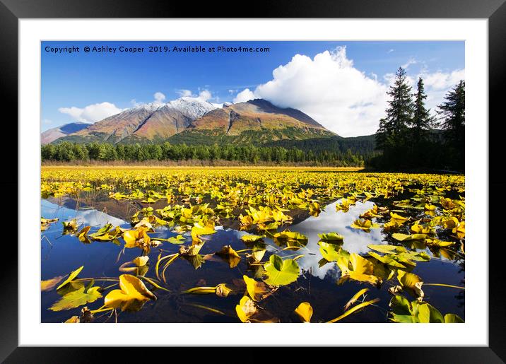 Chugach Mountains. Framed Mounted Print by Ashley Cooper