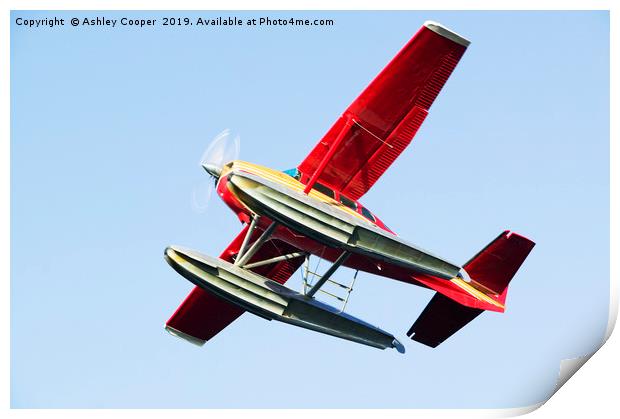 Float plane red. Print by Ashley Cooper
