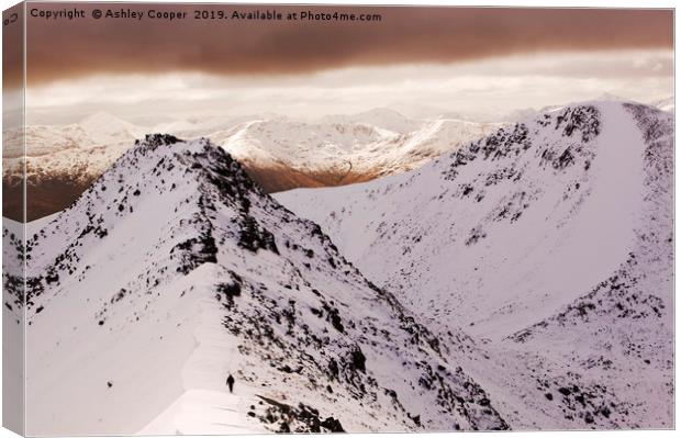 Mamores  Canvas Print by Ashley Cooper