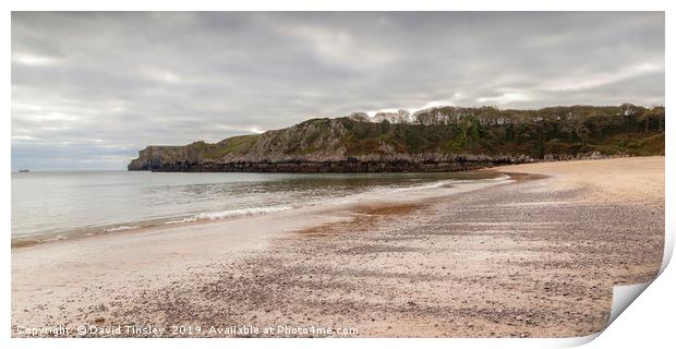 Towards the Headland Print by David Tinsley