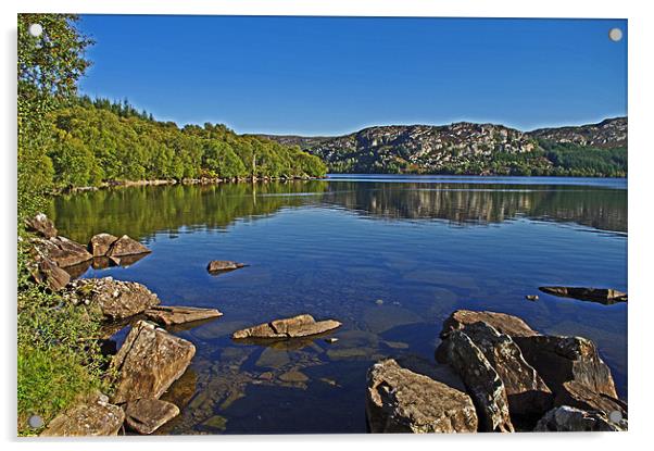 Loch Duntelchaig Acrylic by Jacqi Elmslie