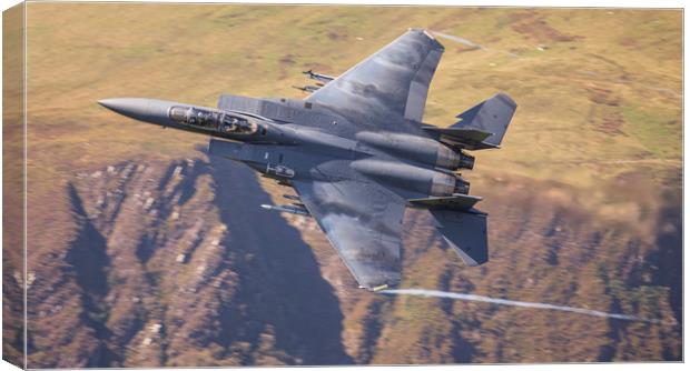 USAF F15-E Low Level Canvas Print by Rory Trappe