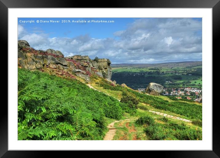 The Cow and Calf Ilkley Moor  Framed Mounted Print by Diana Mower